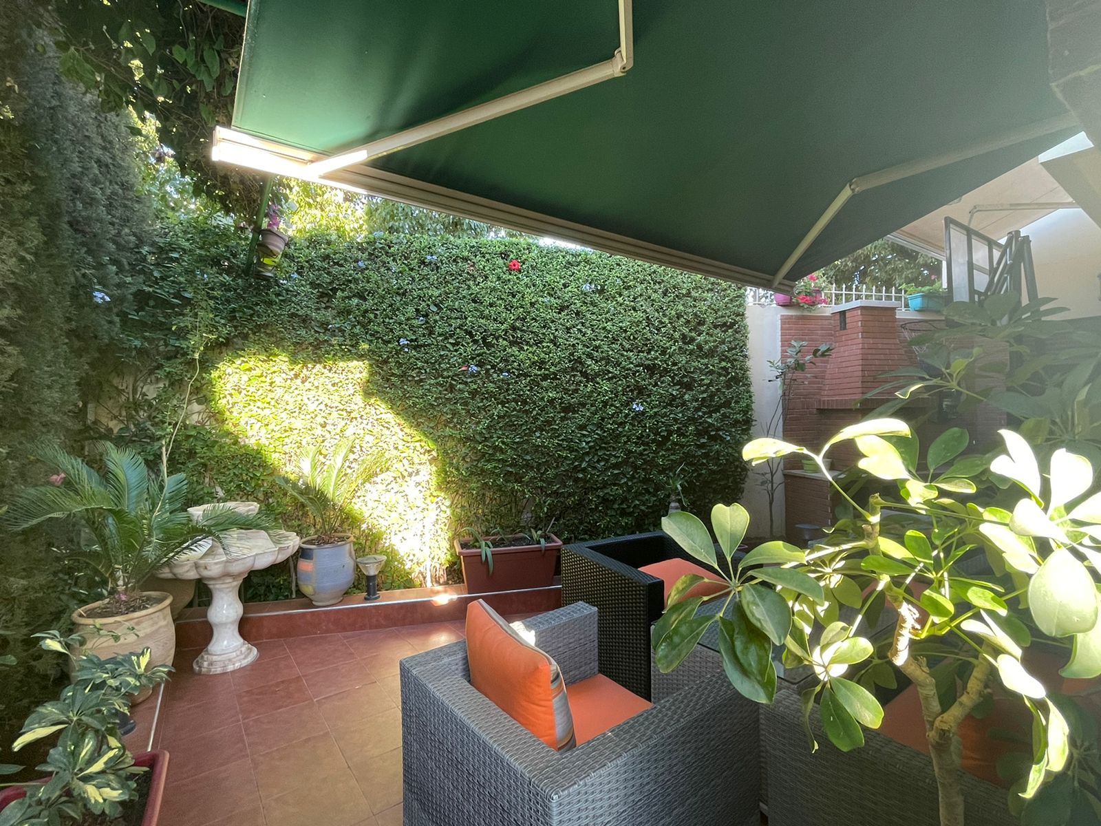 WhatsApp Image 2022-10-12 at 08.49.03