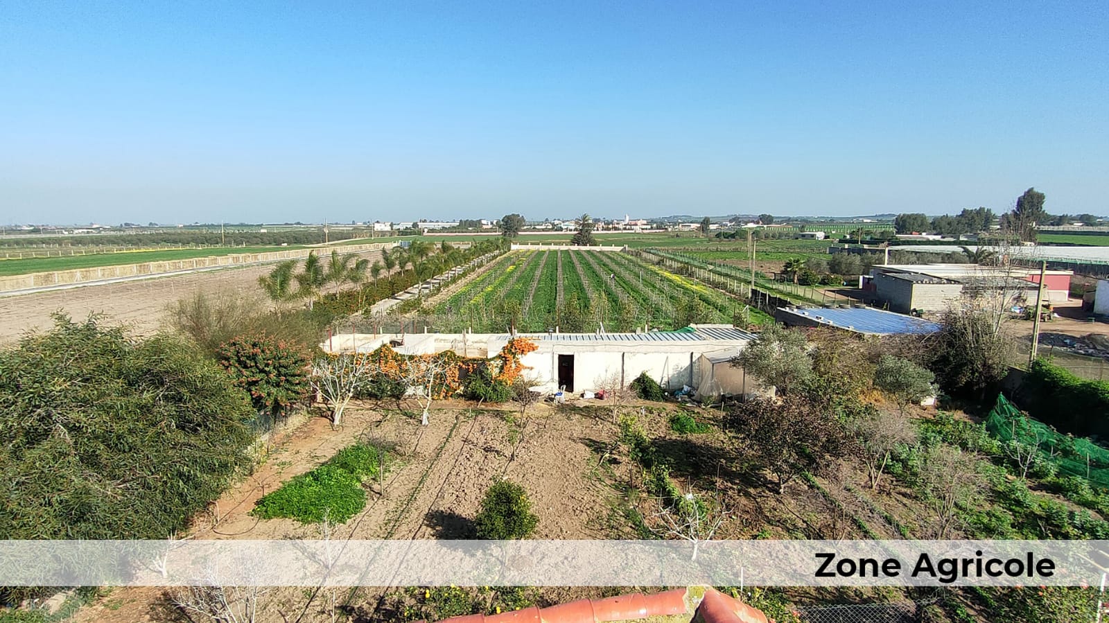 313913630_564741975458461_1985158103125360781_n