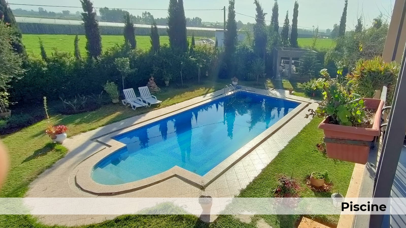 314404723_659783422252305_2751882580472844195_n