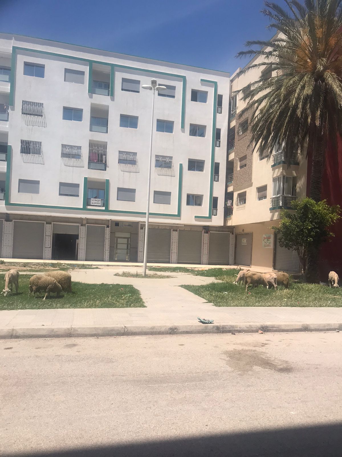 314430679_114888034757008_166160087000260858_n