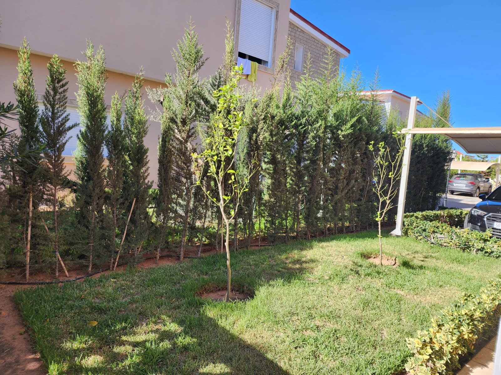 WhatsApp Image 2022-11-14 at 08.56.39 (2)