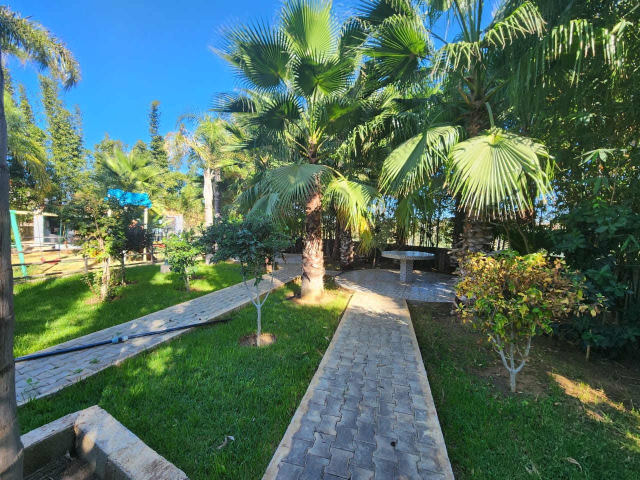 WhatsApp Image 2022-11-14 at 08.56.39