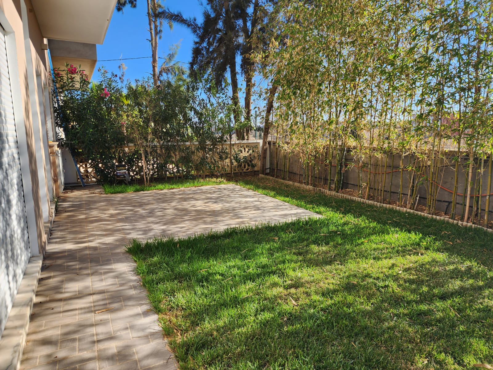 WhatsApp Image 2022-11-14 at 08.56.43 (1)