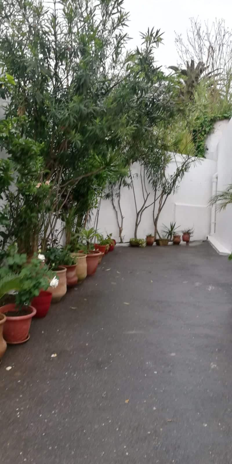 fa9e2c1b-5476-4964-aa53-09bb4b9719f5